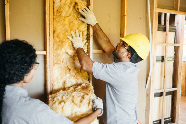 Range of Insulation Solutions in Lochsloy, WA